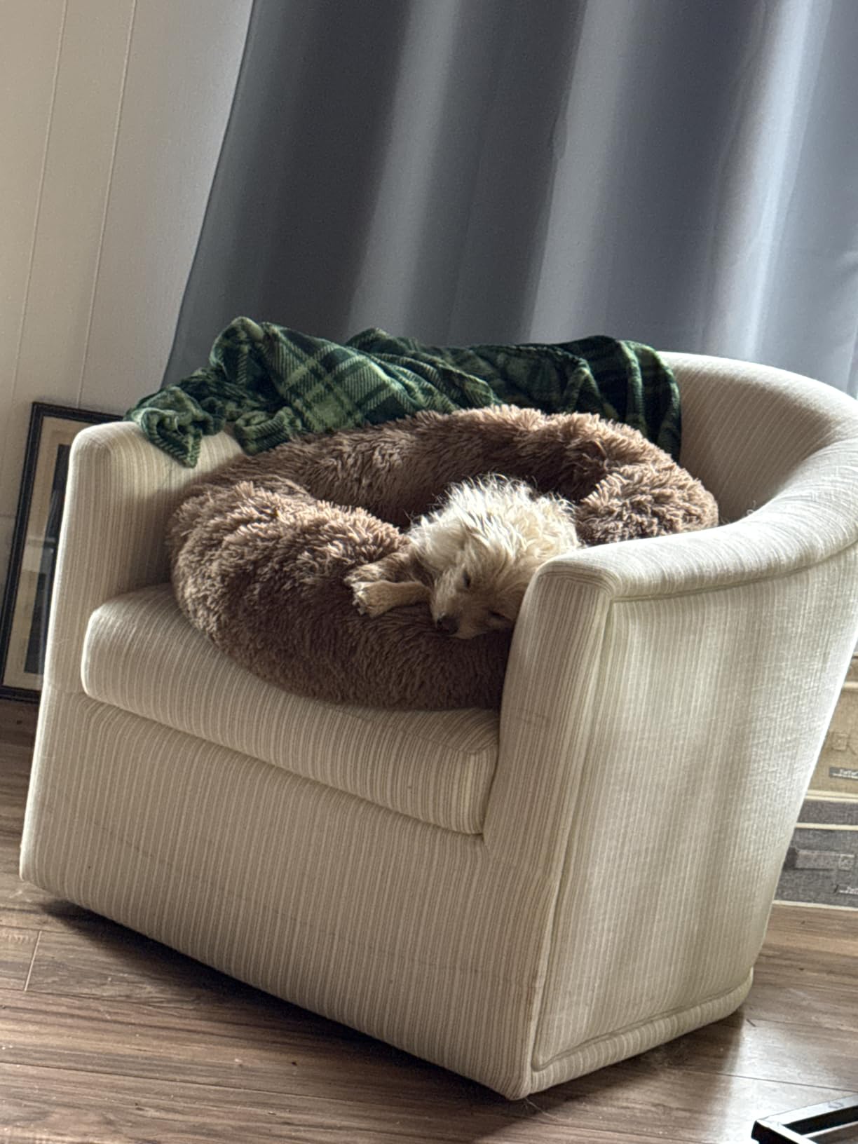 MIXJOY Orthopedic Dog Bed Comfortable Donut Cuddler Round Pet Beds Ultra Soft Washable Dog and Cat Cushion (20''/23''/30'') (23'', Brown) customer photo 2