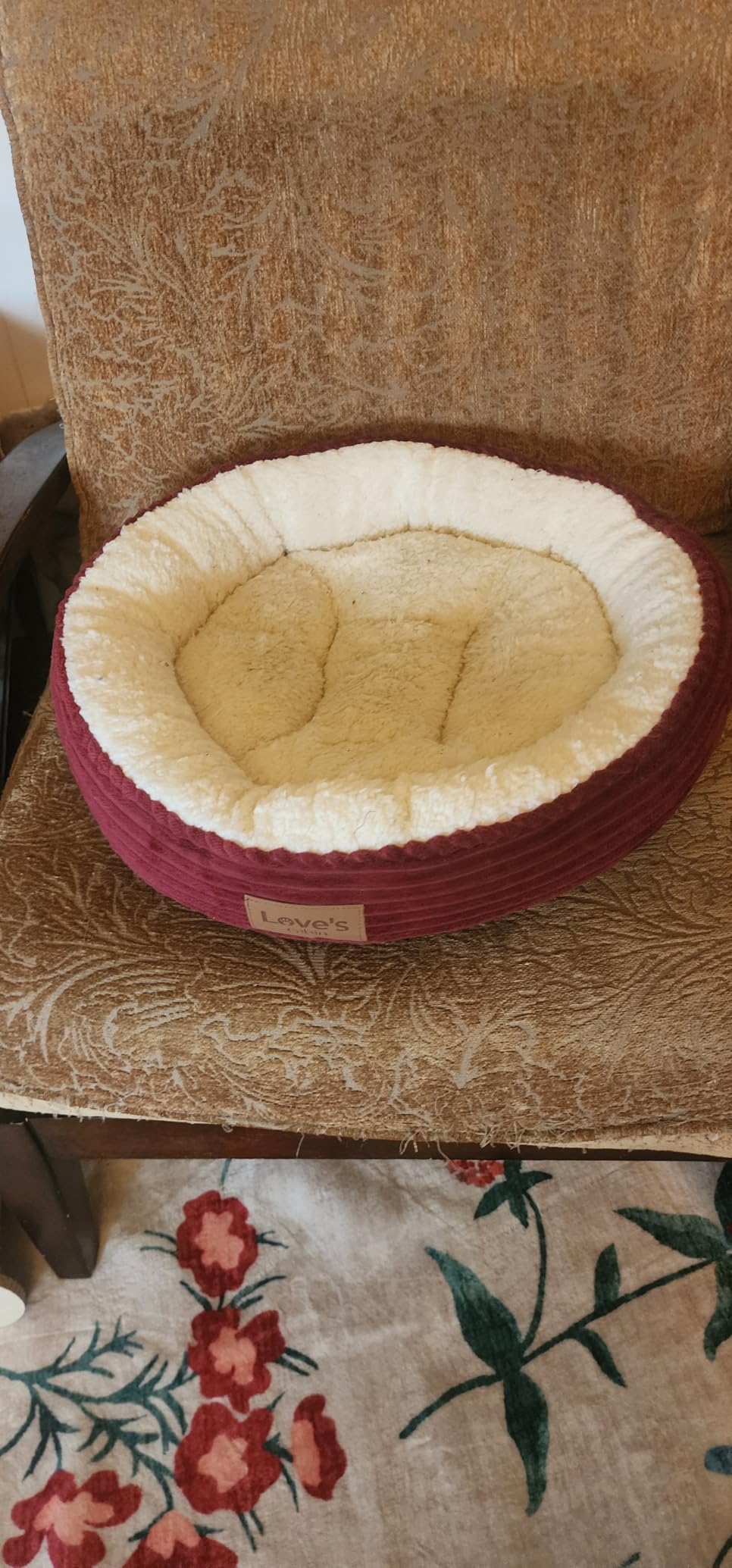 Love's cabin Round Donut Cat and Dog Cushion Bed, 20in Bed for Cats or Small Dogs, Anti-Slip & Water-Resistant Bottom, Super Soft Durable Fabric Pet Beds, Washable Luxury Cat & Dog Bed Gray customer photo 2