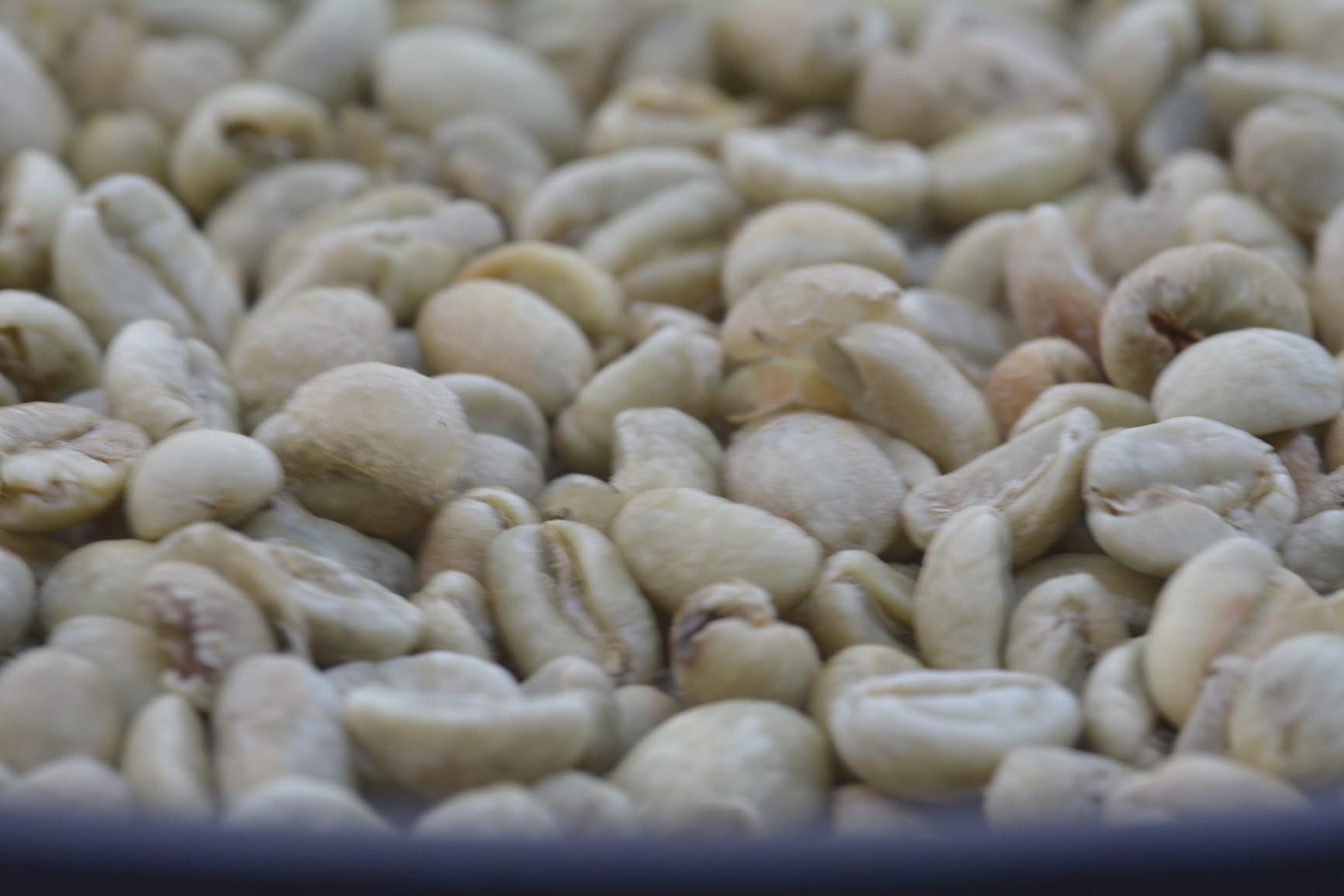 JIAWANSHUN Electric Coffee Bean Roaster Machine for Home Use,1.1lb Capacity customer photo 2