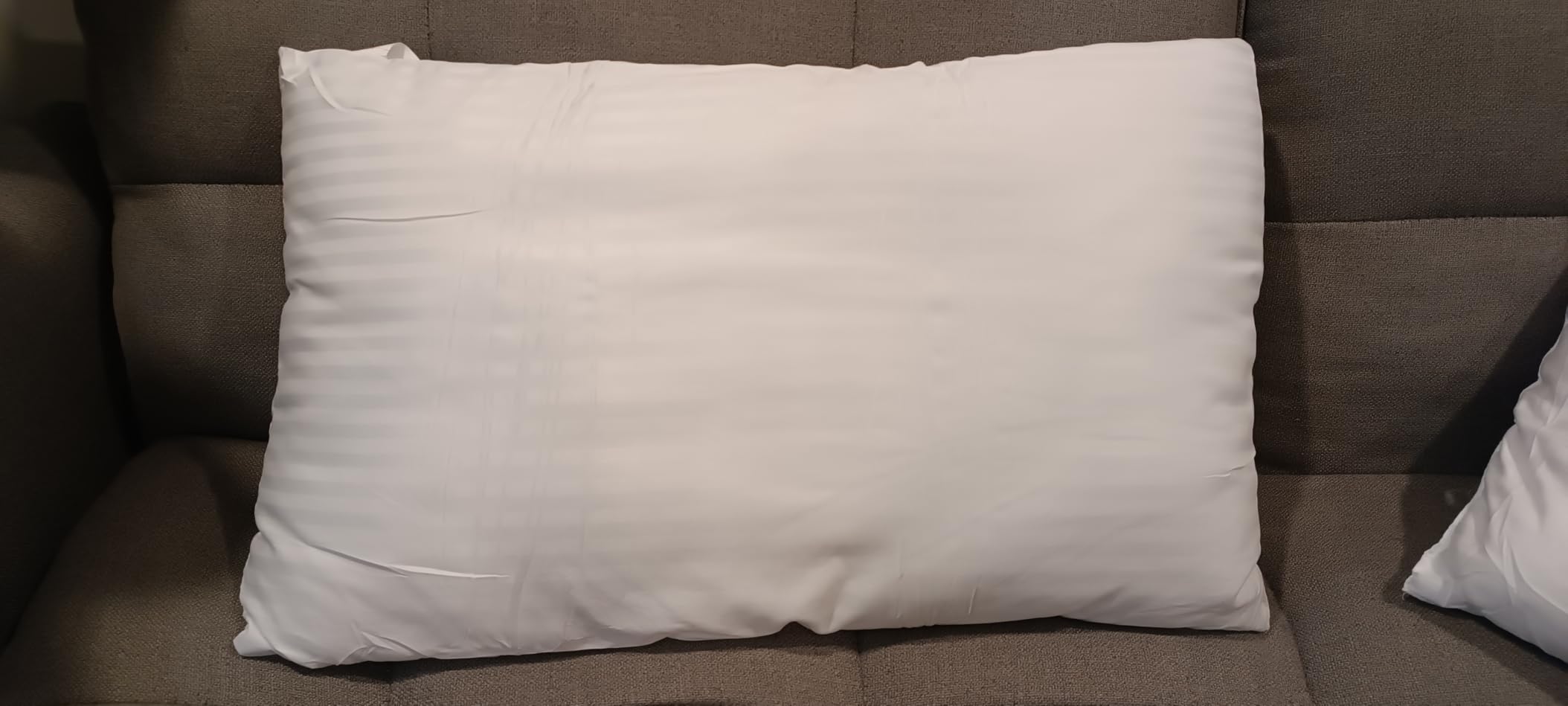 EIUE Hotel Collection Bed Pillows for Sleeping 2 Pack Queen Size,Pillows for Side and Back Sleepers,Super Soft Down Alternative Microfiber Filled Pillows,20 x 30 Inches customer photo 1