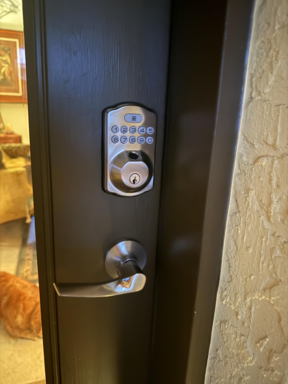 Veise KS02B Fingerprint Door Lock with 2 Lever Handles, Matte Black customer photo 2