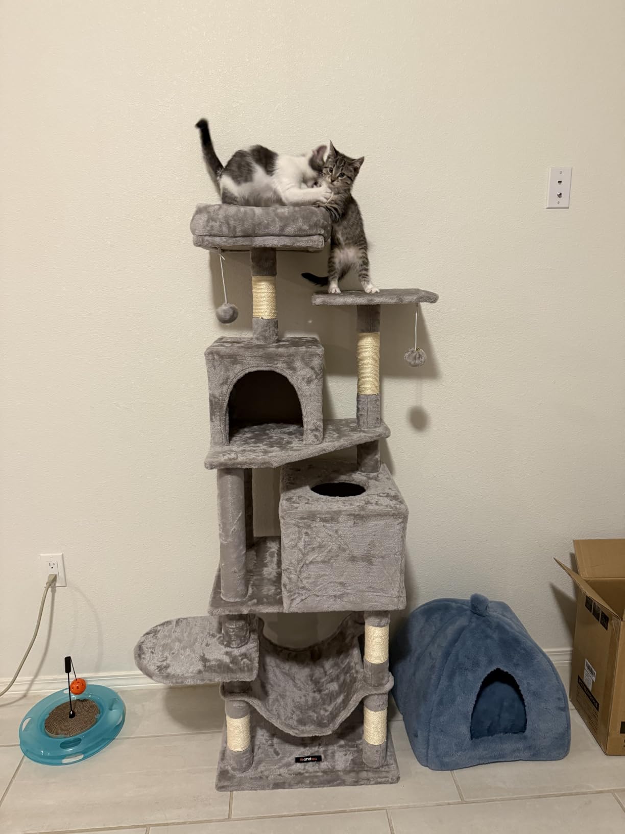 Feandrea Cat Tree, 59.5-Inch Tall Cat Tower, Multi-Level Condo, Light Gray customer photo 1