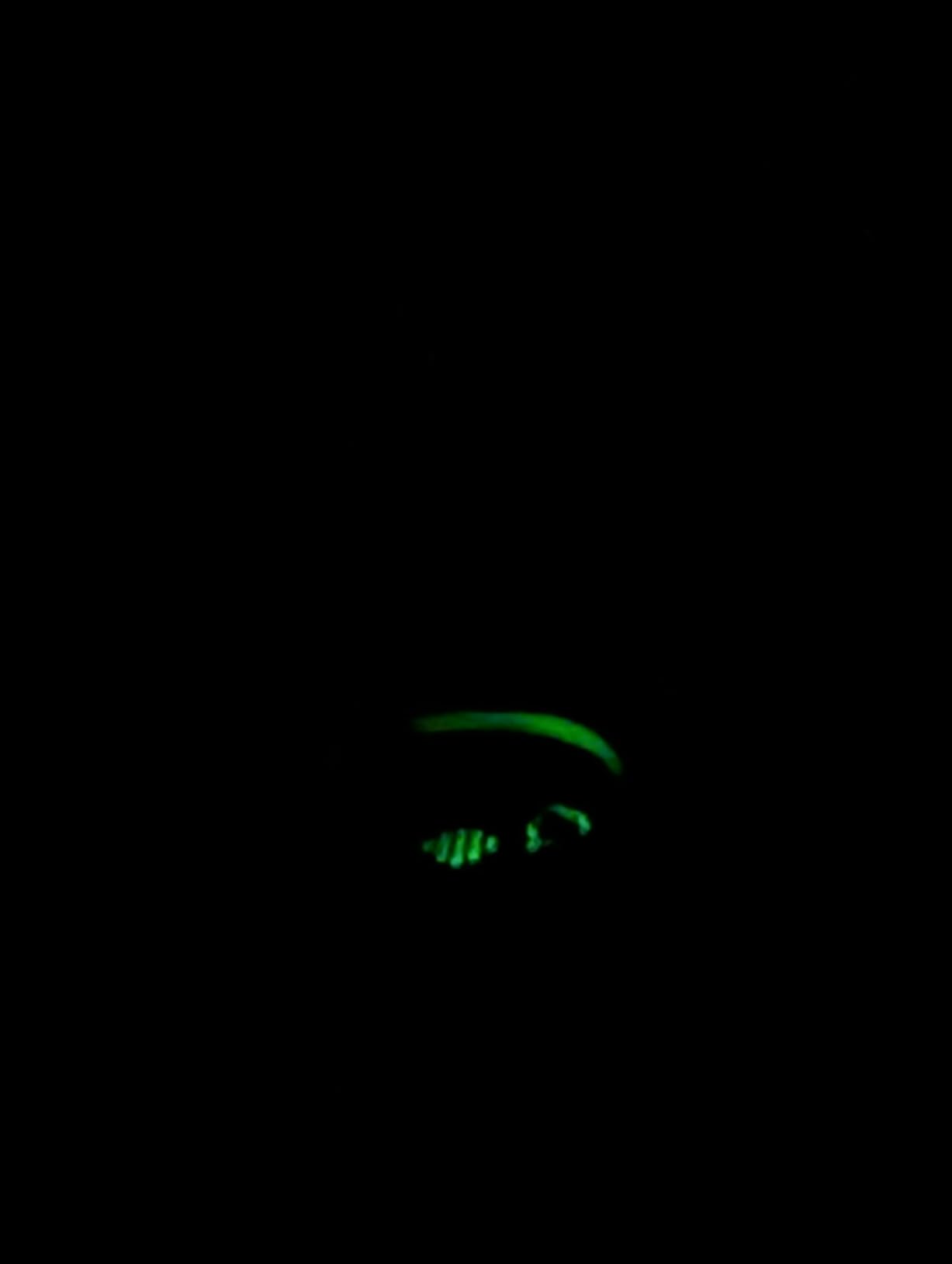 First Alert Hardwire Smoke Alarm customer photo 2