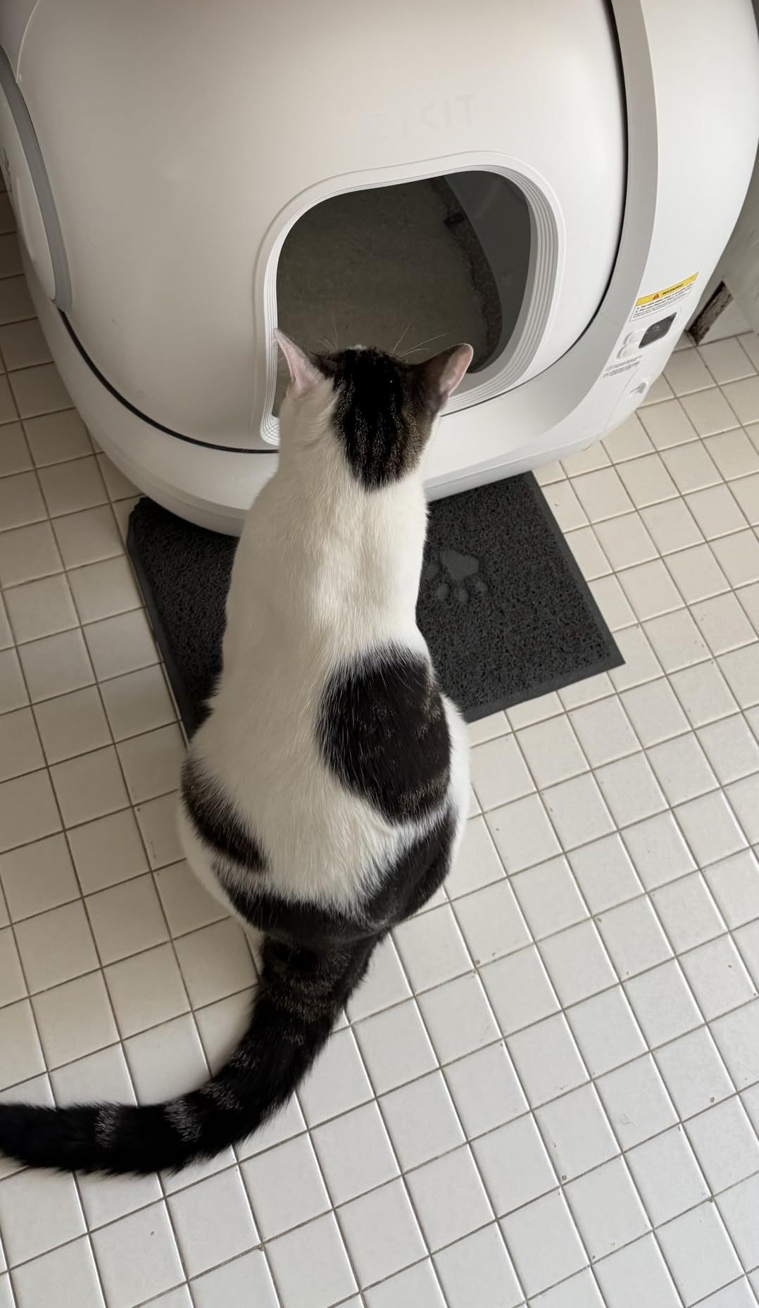 PETKIT PuraMax 2 Odor Free Automatic Cat Litter Box,with 2-Year Coverage customer photo 2