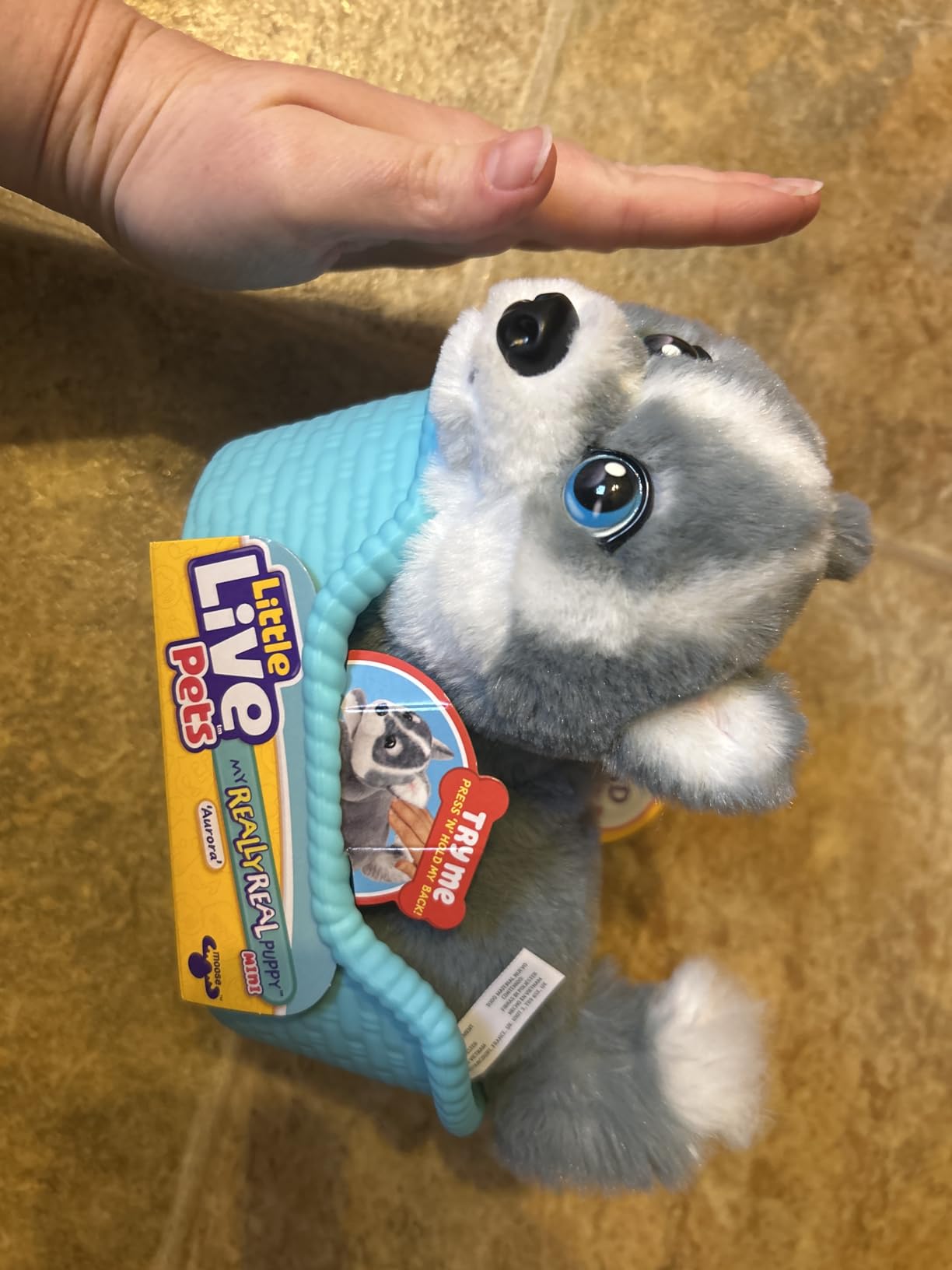 Little Live Pets My Really Real Puppy Mini Aurora the Husky, Interactive Plush Toy with Display Basket, 20+ Sounds and Reactions, Puppy Toys for Kids customer photo 2